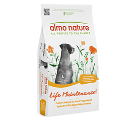 Almo Nature Holistic Maintenanceラム 2kg4袋 Almo Nature Life Maintenance with Fresh Chicken L
